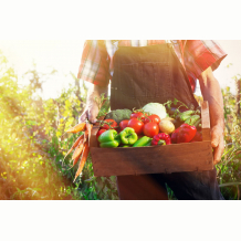 Lorum Ipsum dolor sit amet